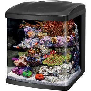 coralife-led-biocube-aquarium-kit-16-gallons-big-0