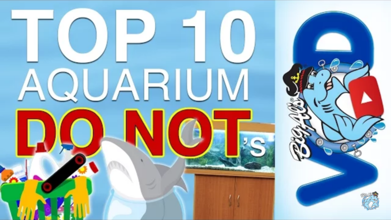 Top 10 Freshwater Mistakes You Should Not Repeat