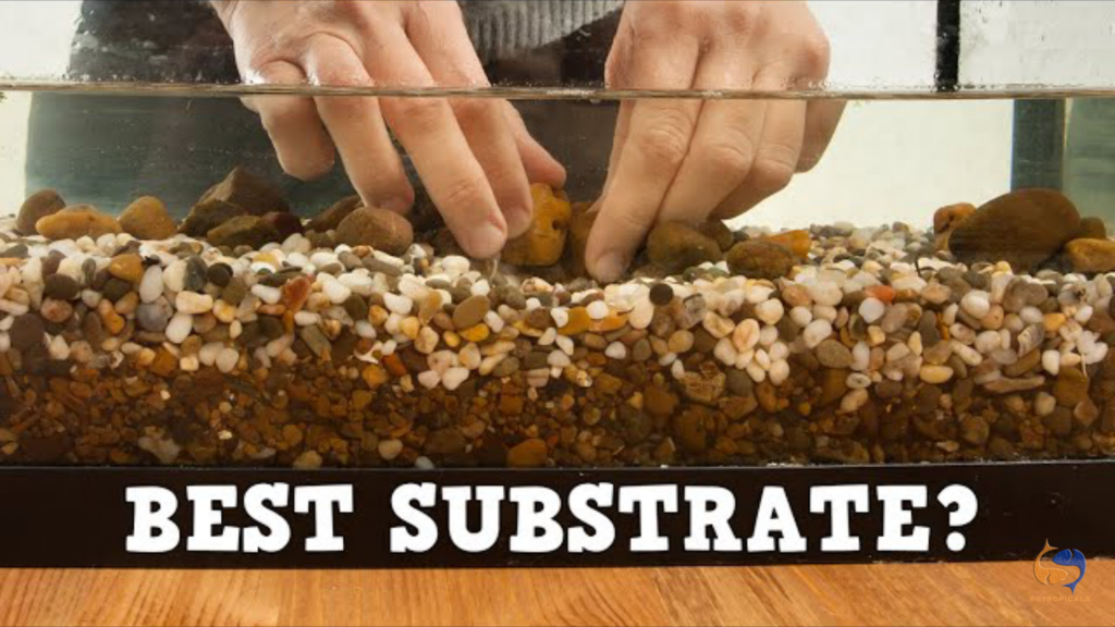 Which is the best aquarium substrate for your tank?