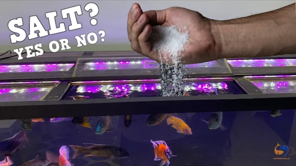 Aquarium salt: all the questions got answered!