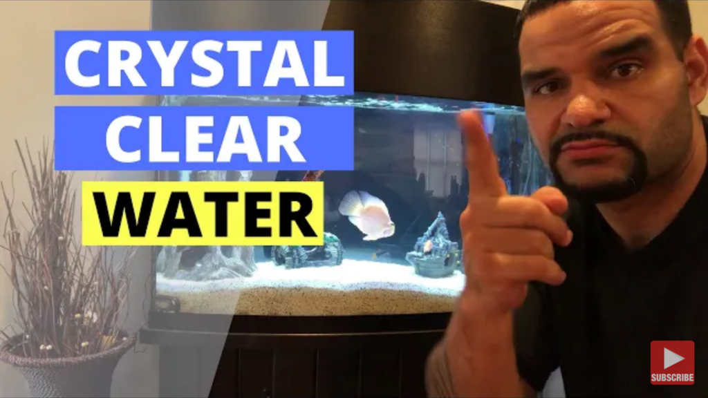 4 pro-tips to keep your aquarium water crystal clear