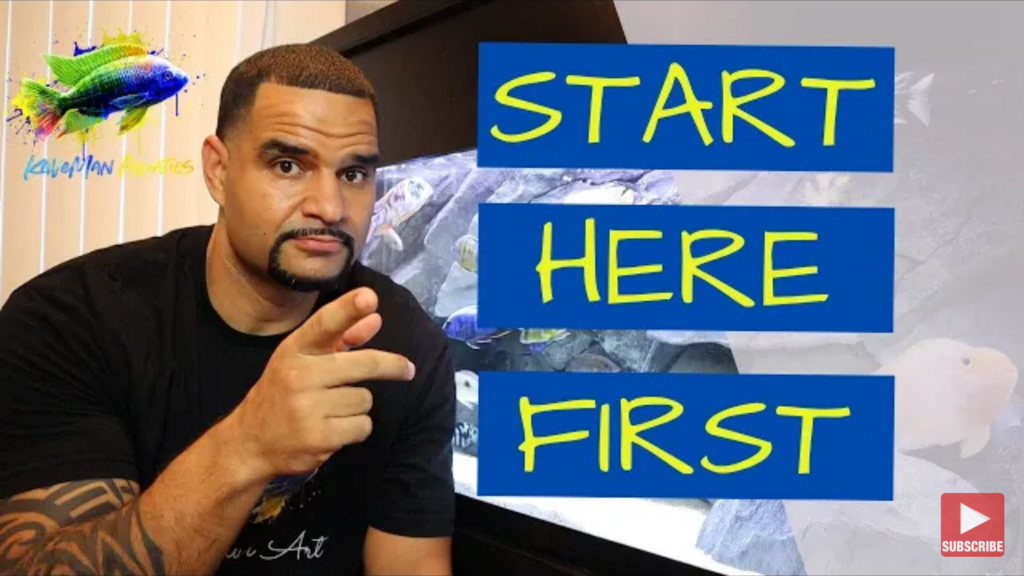 Aquarium Hobby: Top 3 must know tips for beginners