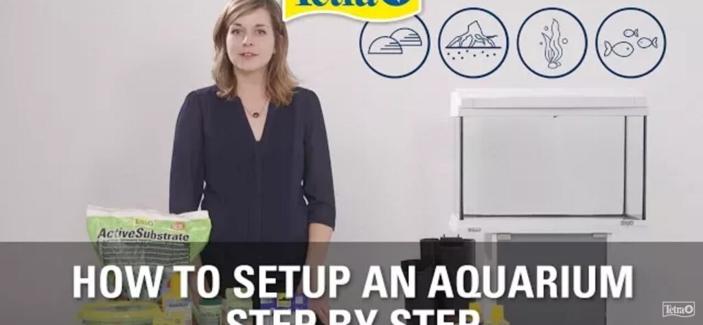 10 steps to set up aquarium like a professional