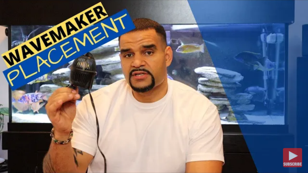 Wavemaker: where to place a wavemaker in the tank