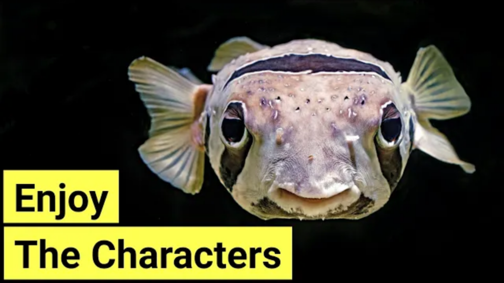 7 Habits to Develop as a New Saltwater Aquarist