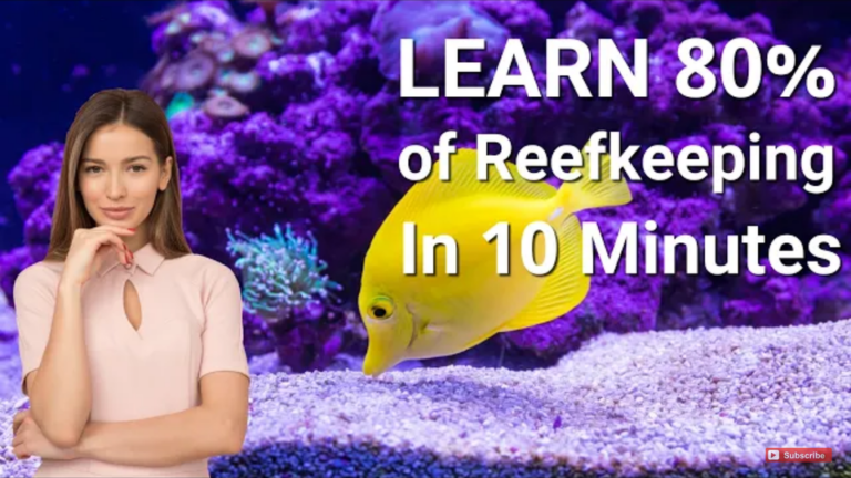 Learn the Basics of Saltwater Aquarium in 10-Minutes