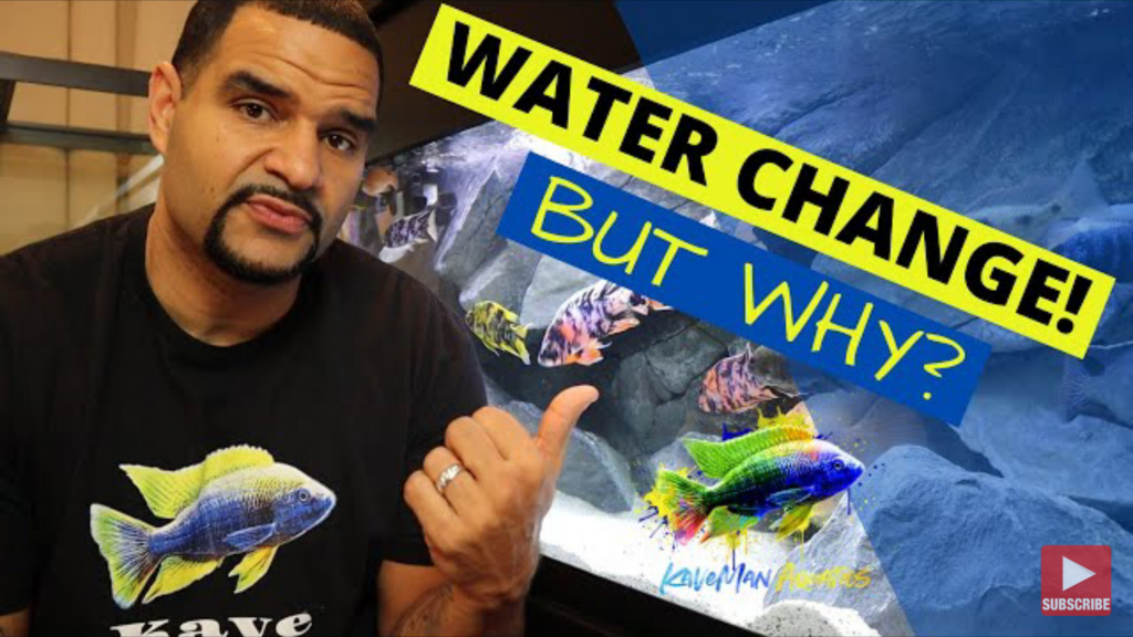 Water Changes: Why Is It So Important?