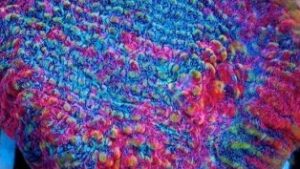 Cherry Sour 2 dot 0 Chalice