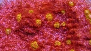 Golden Galaxy Chalice