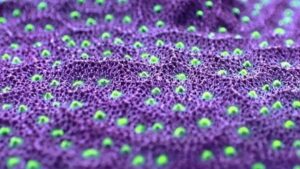 Outer Space Psammocora