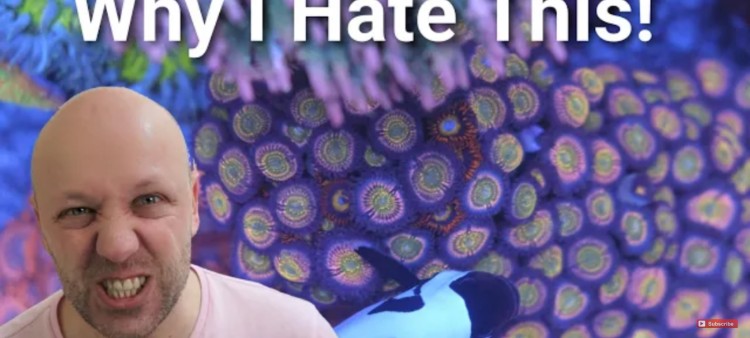 Top 5 Reef Tank Pet Peeve