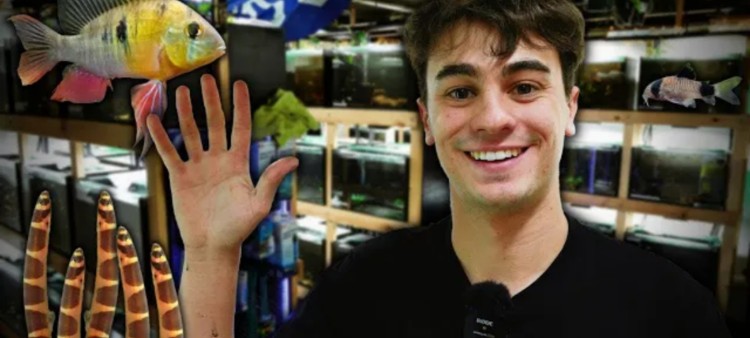 5 best bottom dwelling fish for your aquarium