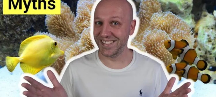 6 Saltwater Aquarium Myths You Still Believe