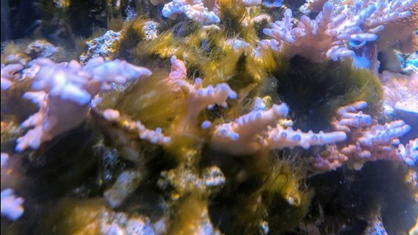 Every Salt Manufactures Has Hickups