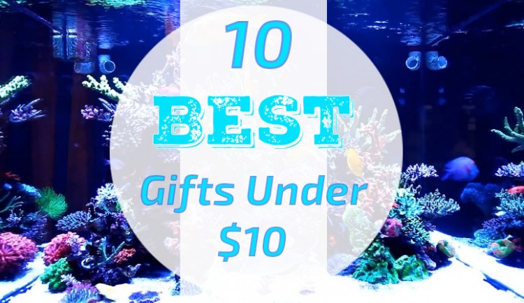 Top Useful Aquarium Gifts Under 10 Bucks
